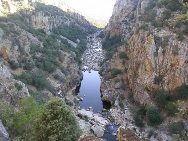 hoz del jandula